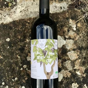 La Tête Dans Le Cep - Domaine De L'immortelle - delphine-yann-bouvier