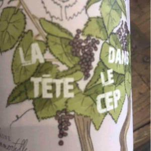 La Tête Dans Le Cep - Domaine De L'immortelle - delphine-yann-bouvier