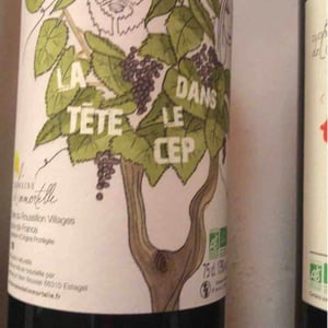 La Tête Dans Le Cep - Domaine De L'immortelle - delphine-yann-bouvier