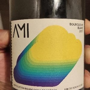La Tête dans les Nuages Bourgogne Blanc - Domaine Ami - Paul Marchand-Perarnau & Willy Roulendes 
