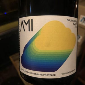 La Tête dans les Nuages Bourgogne Blanc - Domaine Ami - paul-marchand-perarnau-willy-roulendes