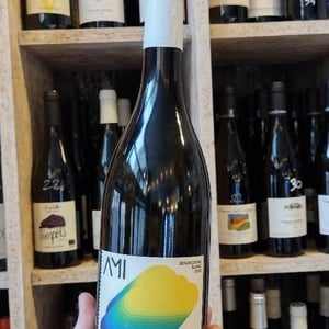 La Tête dans les Nuages Bourgogne Blanc - Domaine Ami - paul-marchand-perarnau-willy-roulendes