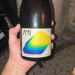 La Tête dans les Nuages Bourgogne Blanc - Domaine Ami - Paul Marchand-Perarnau & Willy Roulendes 
