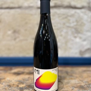La Tête dans les Nuages Bourgogne Rouge - Domaine Ami - paul-marchand-perarnau-willy-roulendes -2019