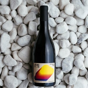 La Tête dans les Nuages Bourgogne Rouge - Domaine Ami - paul-marchand-perarnau-willy-roulendes -2019