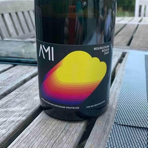 La Tête dans les Nuages Bourgogne Rouge - Domaine Ami - Paul Marchand-Perarnau & Willy Roulendes -2019