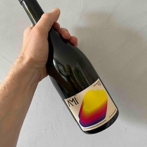 La Tête dans les Nuages Bourgogne Rouge - Domaine Ami - paul-marchand-perarnau-willy-roulendes -2019