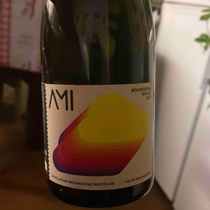 La Tête dans les Nuages Bourgogne Rouge - Domaine Ami - Paul Marchand-Perarnau & Willy Roulendes -2019