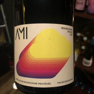 La Tête dans les Nuages Bourgogne Rouge2021 - Domaine Ami - paul-marchand-perarnau-willy-roulendes -2021