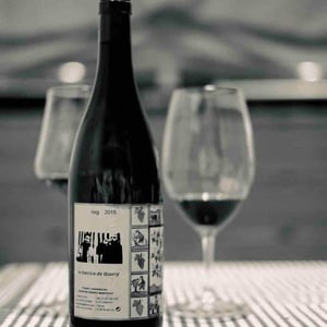 La Thierrica de Barri - Mendall - laureano-serres-montagut-alicia-serres-brianzo