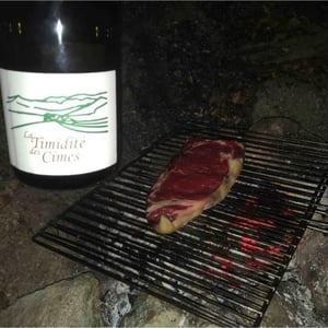 Clos des Cimes - Elodie Aubert - La Timidité des Cimes