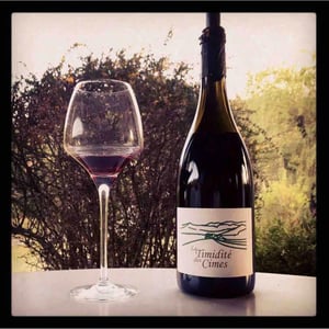 Clos des Cimes - Elodie Aubert - La Timidité des Cimes