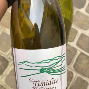 Clos des Cimes - Elodie Aubert - La Timidité des Cimes