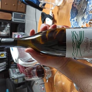 La Timidité des Cimes - Clos des Cimes - Elodie Aubert 