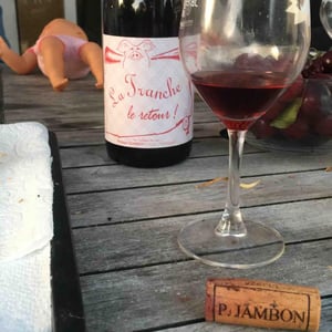 La Tranche Le Retour - Philippe Jambon - Catherine & Philippe Jambon 