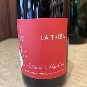 La Tribu - La Vrille et le Papillon - geraldine-meryl-croizier