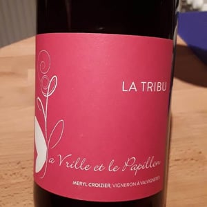 La Tribu - La Vrille et le Papillon - geraldine-meryl-croizier