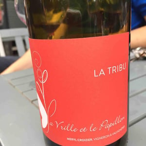 La Tribu - La Vrille et le Papillon - Géraldine & Méryl Croizier 