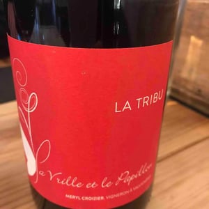 La Vrille et le Papillon - Géraldine & Méryl Croizier - La Tribu