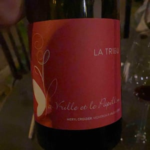 La Tribu - La Vrille et le Papillon - geraldine-meryl-croizier
