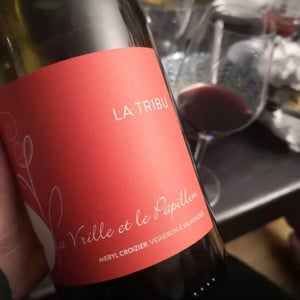 La Tribu - La Vrille et le Papillon - geraldine-meryl-croizier