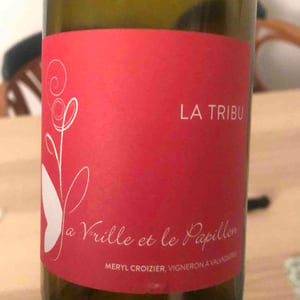 La Vrille et le Papillon - Géraldine & Méryl Croizier - La Tribu