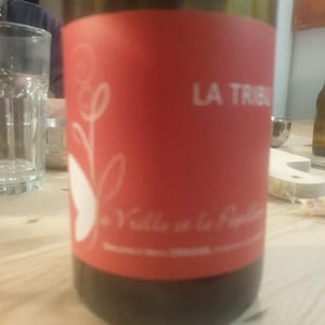 La Tribu - La Vrille et le Papillon - geraldine-meryl-croizier