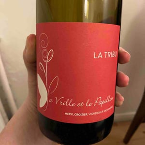 La Tribu - La Vrille et le Papillon - geraldine-meryl-croizier