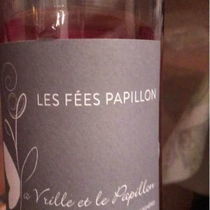 La Tribu - La Vrille et le Papillon - Géraldine & Méryl Croizier 
