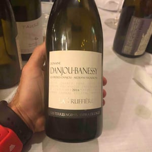 La Truffière (Blanc) - Domaine Danjou-Banessy - Benoît & Sébastien Danjou 