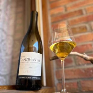 La Truffière (Blanc) - Domaine Danjou-Banessy - Benoît & Sébastien Danjou 