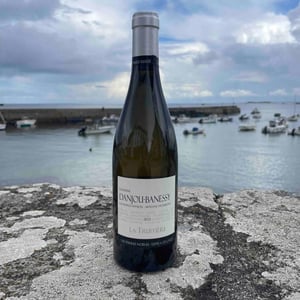 La Truffière (Blanc) - Domaine Danjou-Banessy - benoit-sebastien-danjou