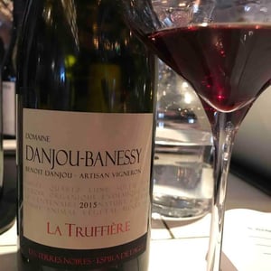 La Truffière (Rouge) - Domaine Danjou-Banessy - Benoît & Sébastien Danjou 