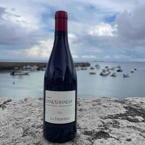 La Truffière (Rouge) - Domaine Danjou-Banessy - benoit-sebastien-danjou