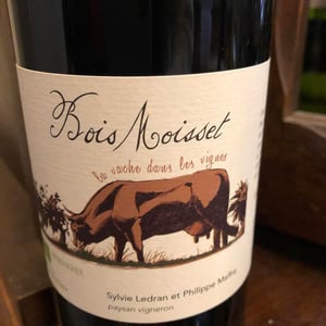 La Vache Dans Les Vignes - Domaine Ferme Bois Moisset - Sylvie & Philippe Maffre 