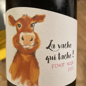 La vache qui tache - Earl l’étable des vins - Rémi Desmaris -2023