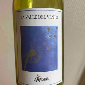 La Valle Del Vento - La Ginestra - Dario Nocci, Alessandro Bicchi & Matteo Rinaldi -2019