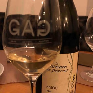 Les Grandes Vignes - Laurence, Dominique & Jean-François Vaillant - La Varenne Du Poirier