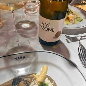 La Ví y Soñé - Barranco Oscuro - manuel-lorenzo-valenzuela