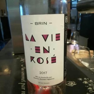 La Vie En Rose - Domaine de Brin - Damien Bonnet 