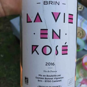 Domaine de Brin - Damien Bonnet - La Vie En Rose