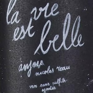 La Vie Est Belle - Le Clos des Treilles - Nicolas Reau 