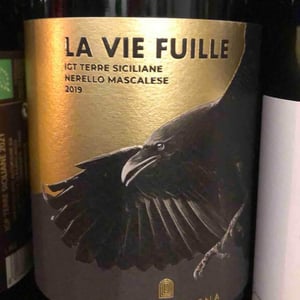La Vie Fuille - Stanza terrena - Giuseppe Grasso -2019