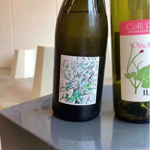 Domaine Gramenon - Michèle Aubéry-Laurent & Maxime-Francois Laurent - La Vie On Y Est
