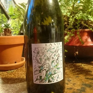 Domaine Gramenon - Michèle Aubéry-Laurent & Maxime-Francois Laurent - La Vie On Y Est