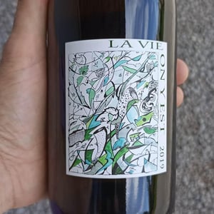La Vie On Y Est - Domaine Gramenon - michele-aubery-laurent-maxime-francois-laurent