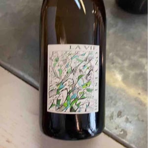 La Vie On Y Est - Domaine Gramenon - michele-aubery-laurent-maxime-francois-laurent