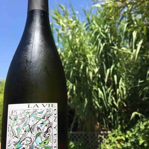 Domaine Gramenon - Michèle Aubéry-Laurent & Maxime-Francois Laurent - La Vie On Y Est