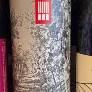 La Vigna - Santuvario - Ivano & Paola Barbaglia 