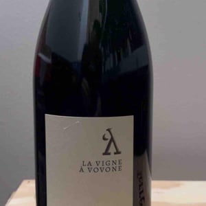 La vigne à vovone - Champagne A. Lamblot - Alexandre Lamblot 